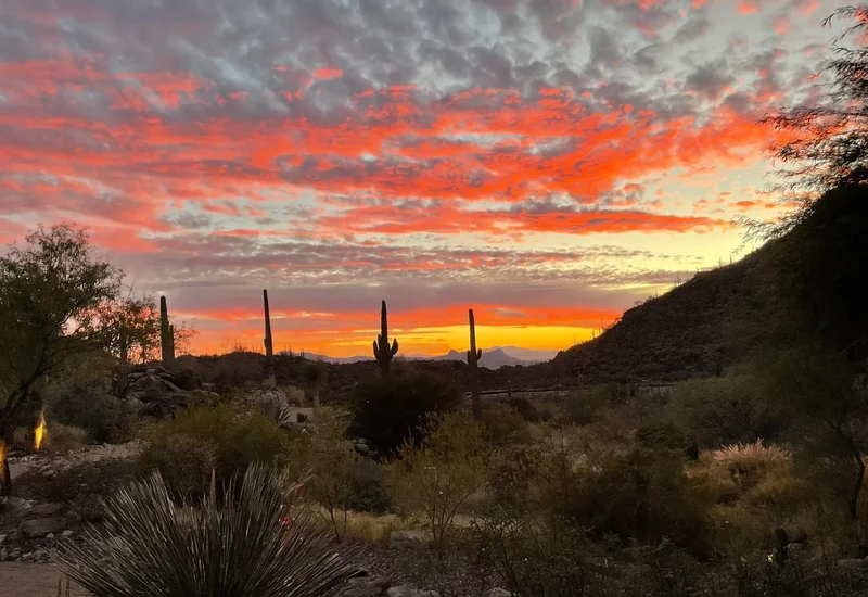 13971 N Jims Deadend Place , Marana, AZ 85658, Marana, Arizona, United States. - Photo 40