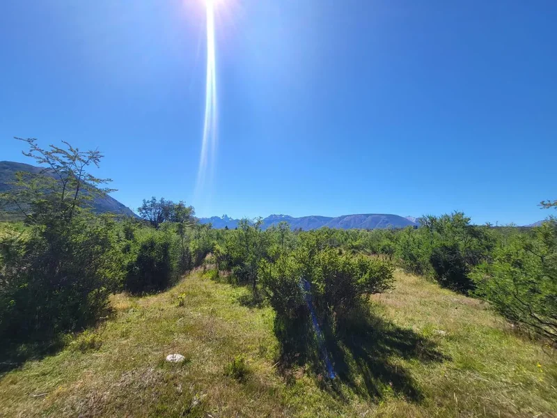 Campo de 444, Cushamen, ARGENTINA, Cushamen, Chubut Province, Argentina. - Photo 14