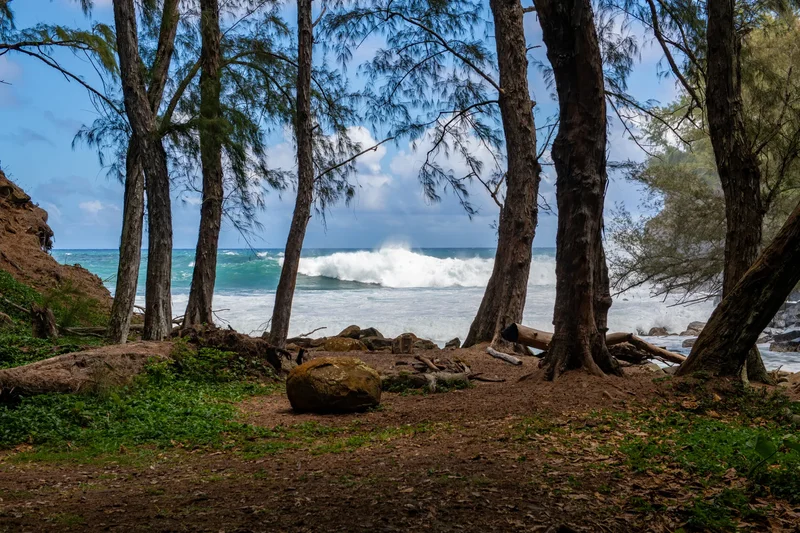 53-4223 Pratt Rd , Kapaau, HI 96755, Waimea, Hawaii, United States. - Photo 10