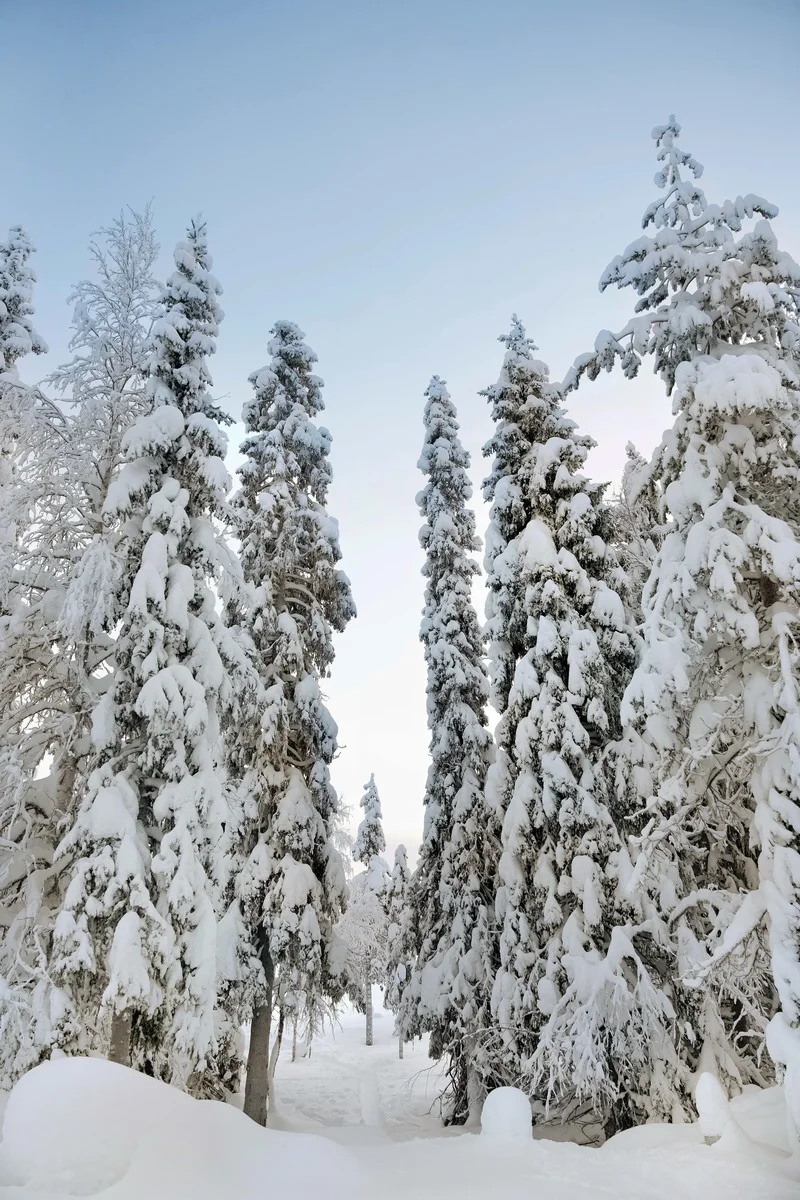 Onkijantie 19-23, Kuusamo, 14 93830, Kuusamo, Finland. - Photo 12