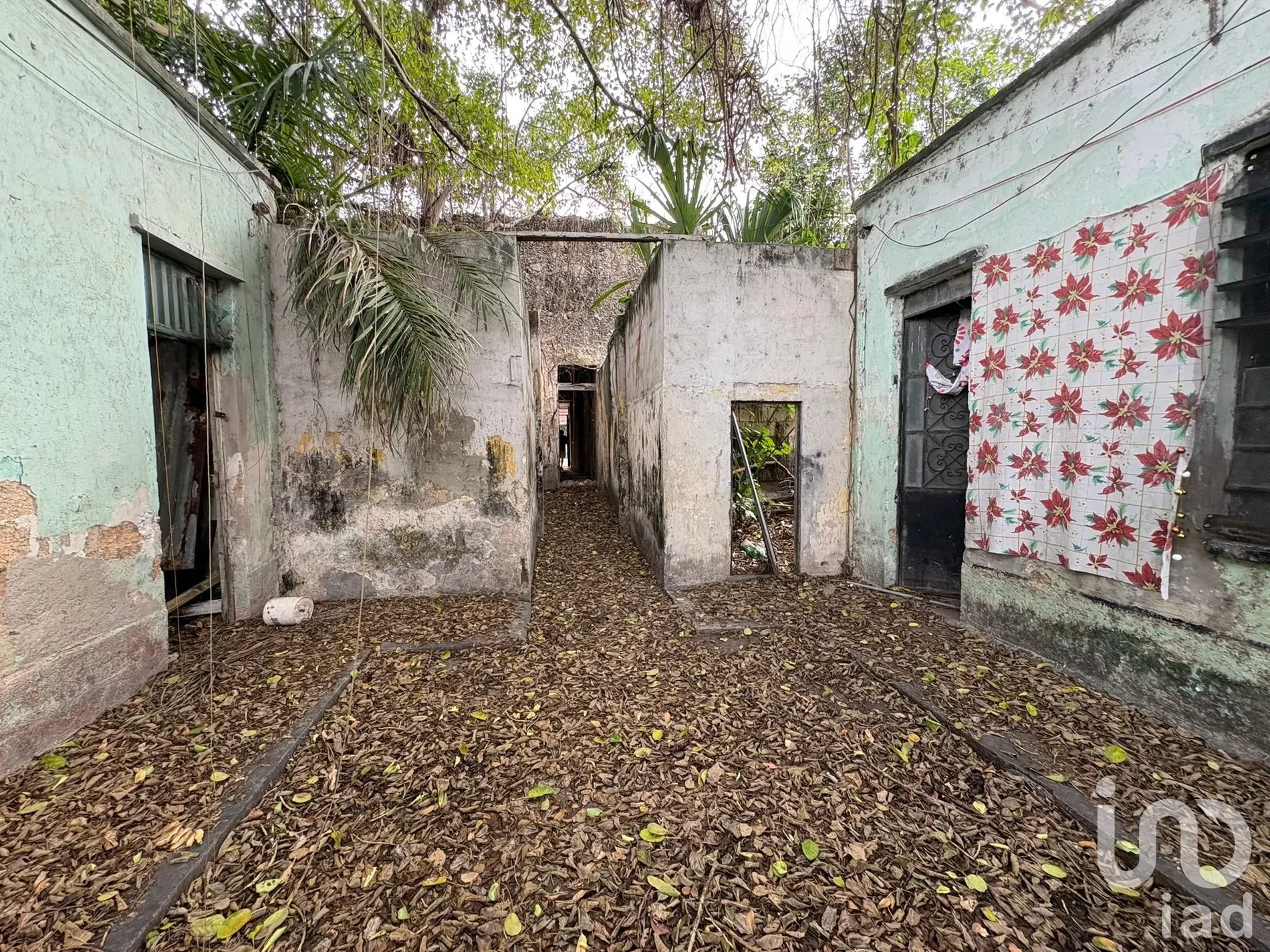 Exterior photo 6