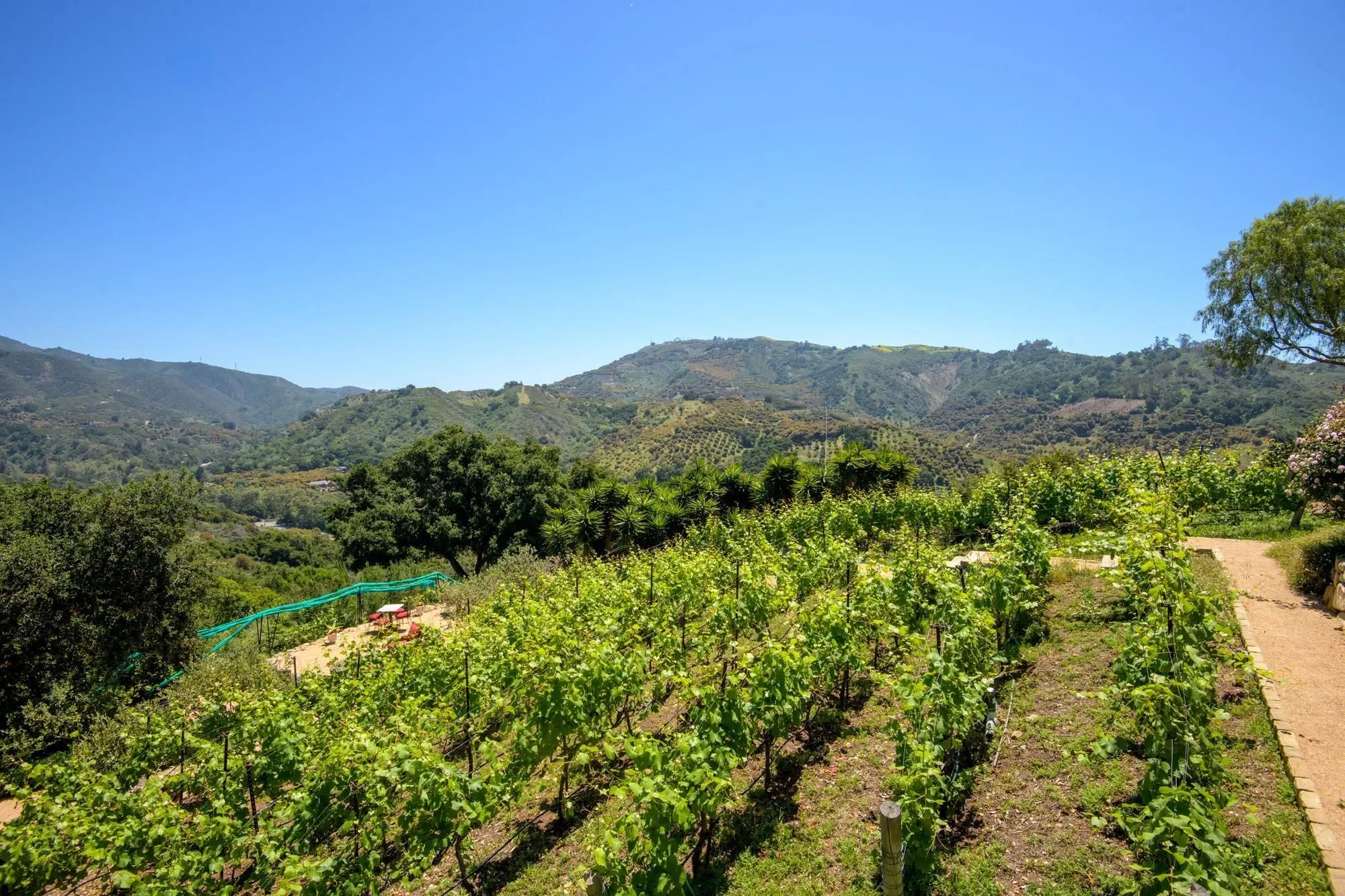 7200 Casitas Pass Road, Carpinteria, California, United States. - Photo 25