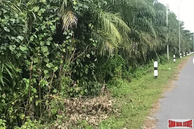Phang Nga Large Land Plot in Khok Kloi Town and only a 5 Minute Walk to Natai Beach