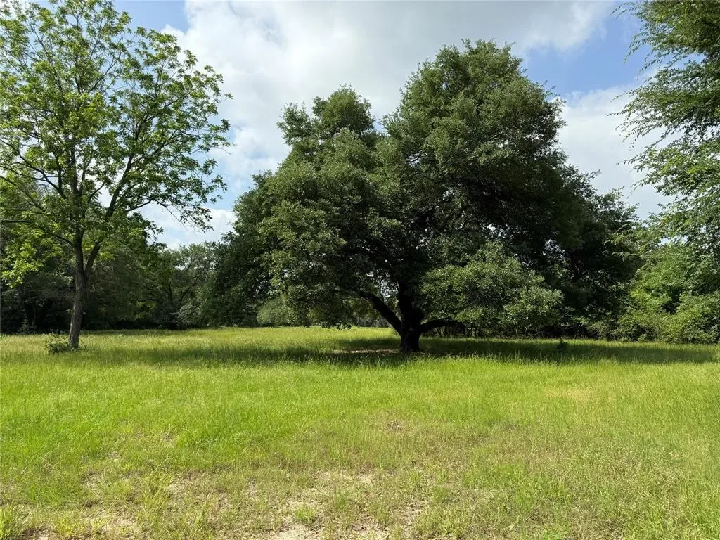 601 E Collard Street, Madisonville, Texas, United States. - Photo 33