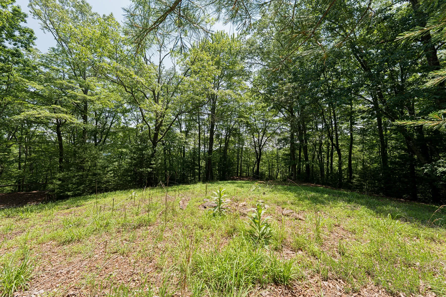 1000 Sutton Creek Road, Pisgah Forest, NC 28768, Mills River, North Carolina, United States. - Photo 11