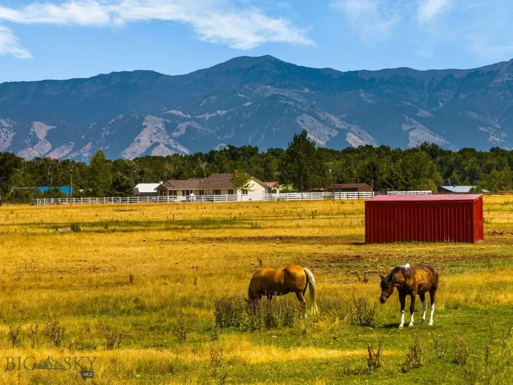 3455 Linney, Bozeman, Montana, United States. - Photo 14