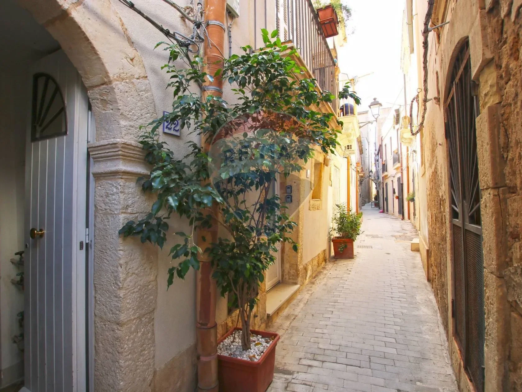 Sicily, Syracuse, Sicily, Italy. - Photo 16