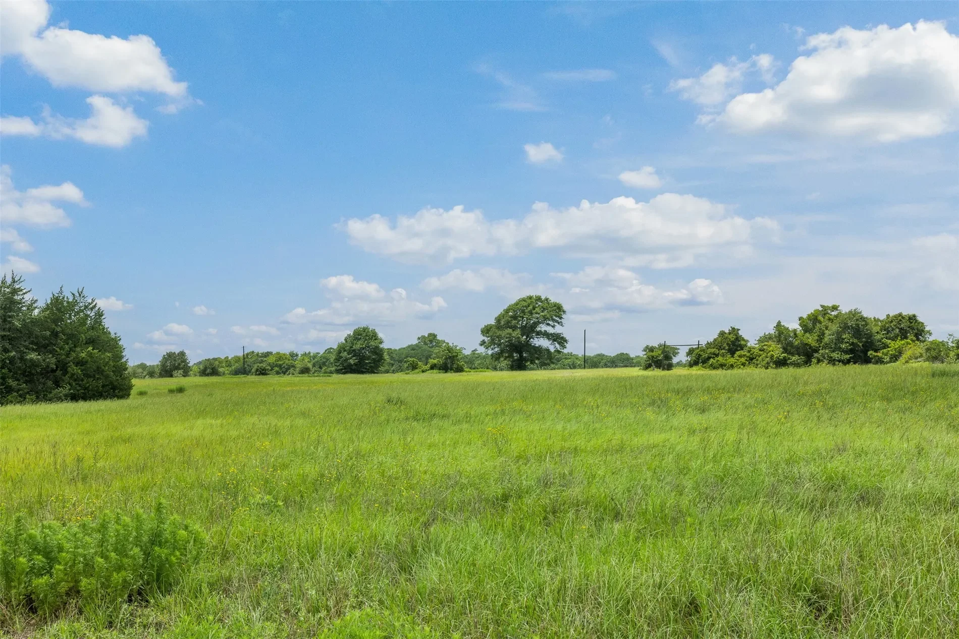 7602 Rose Lane, Sealy, TX 77474, Sealy, Texas, United States. - Photo 12
