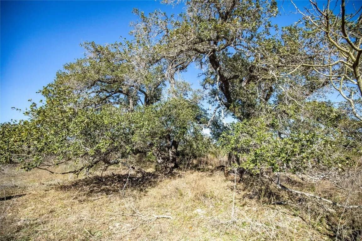 6498 N Hwy 35, Rockport, TX 78382, Rockport, Texas, United States. - Photo 21