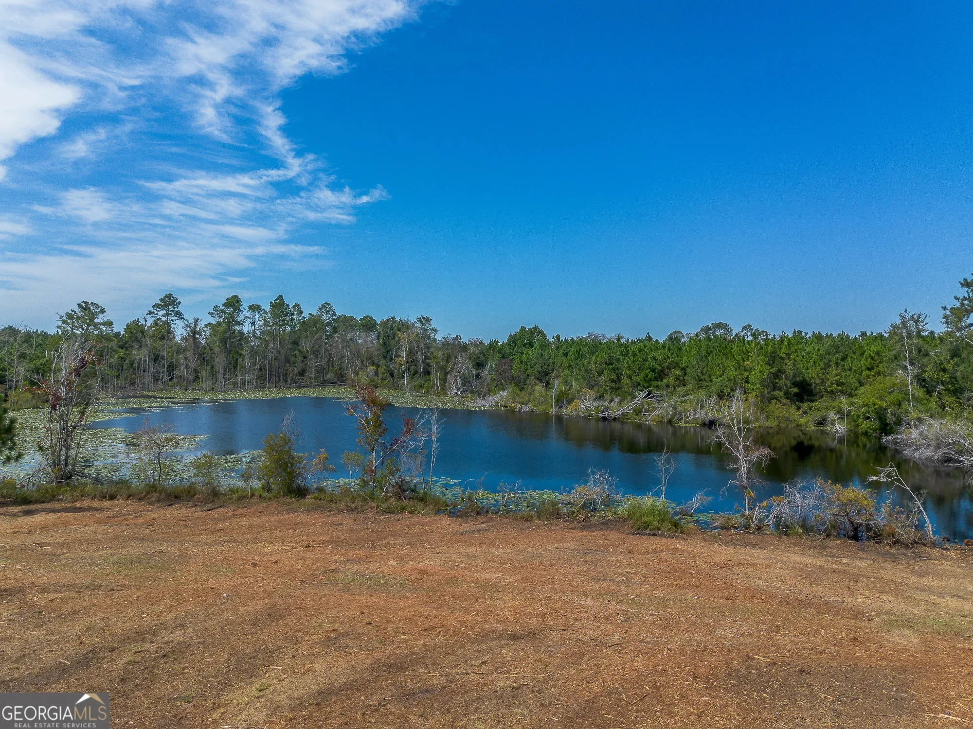 0 Rhonda Coleman, Hazlehurst, GA 31539, Hazlehurst, Georgia, United States. - Photo 13