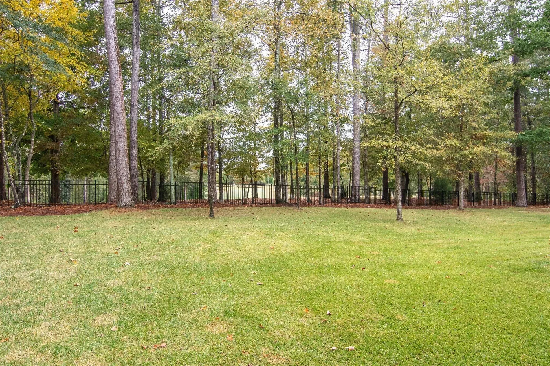 85 Shooting Match Lane, North Augusta, South Carolina, United States. - Photo 51