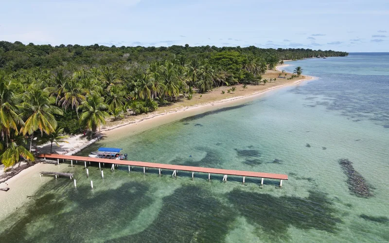 Isla Bastimentos, Bastimentos Island, Bocas del Toro Province, Panama, Bastimentos Island, Bocas del Toro Province, Panama. - Photo 23
