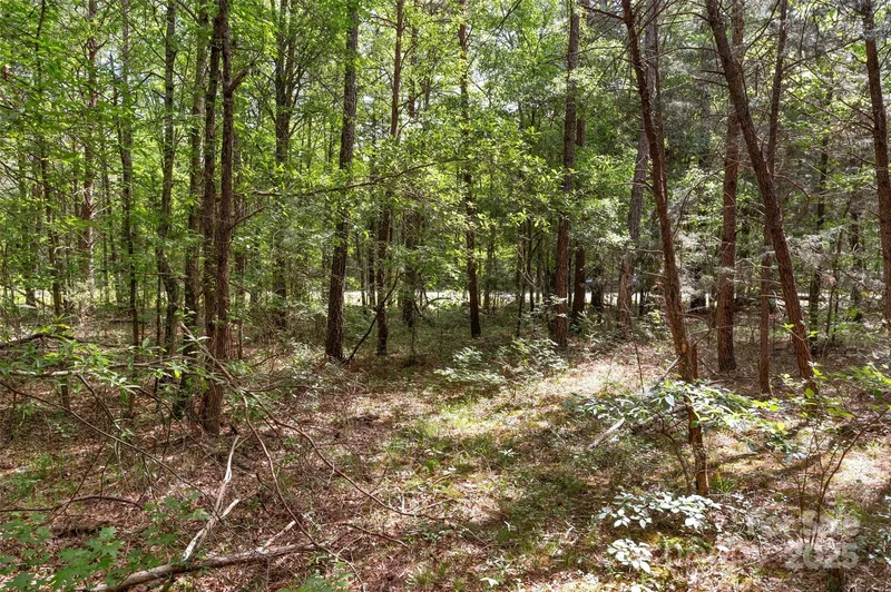 0000 Green Road, Lancaster, SC 29720, Lancaster, South Carolina, United States. - Photo 25
