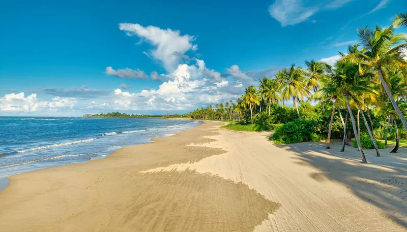7000 Bahia Beach Blvd., 12 Las Estancias, Bahia Beach, 00745, Río Grande, Río Grande, Puerto Rico. - Photo 28