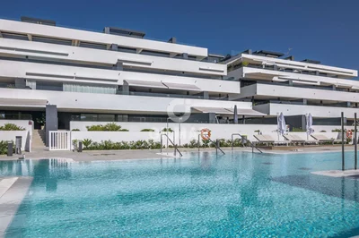Thumbnail 43
