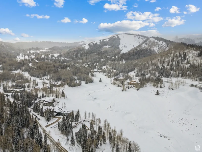 263 WHITE PINE CANYON RD, Park City, UT 84098, Park City, Utah, United States. - Photo 74