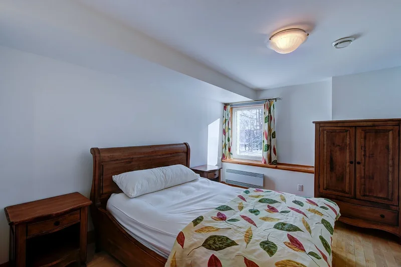 26 Ch. des Tilleuls, Saint-Sauveur, Quebec, QC J0R1R7, Saint-Sauveur, Quebec, Canada. - Photo 51