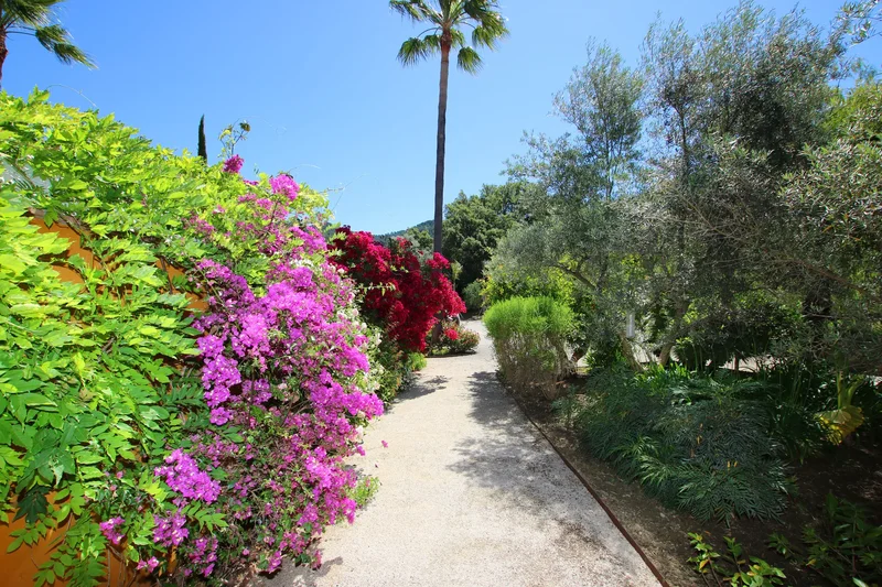 29480 Gaucín, Málaga, Spain, Gaucin, Andalusia, Spain. - Photo 65