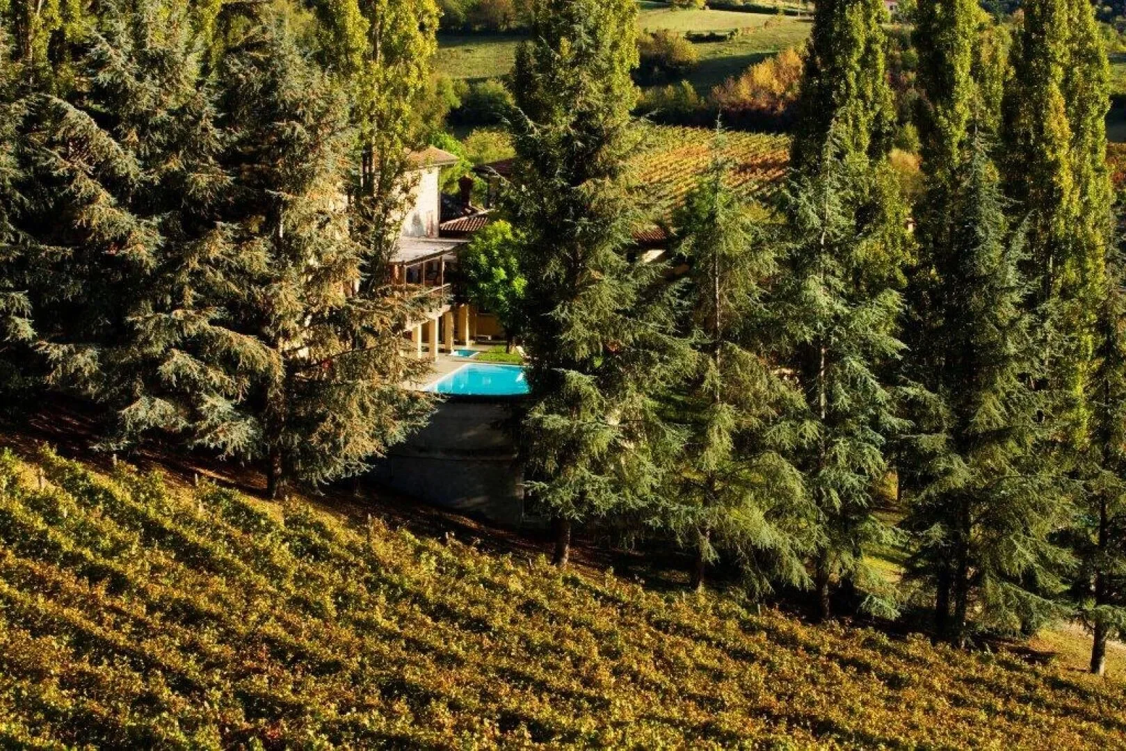 Cremolino, Piedmont, Italy. - Photo 14