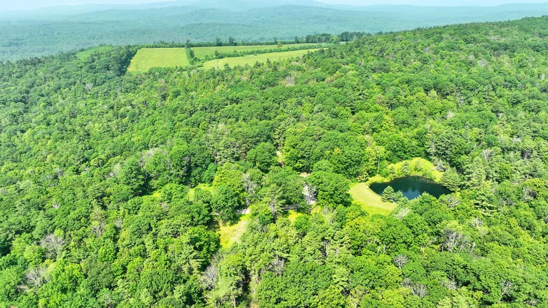 133 Hay Hill Road, Francestown, NH 03043, Francestown, New Hampshire, United States. - Photo 57