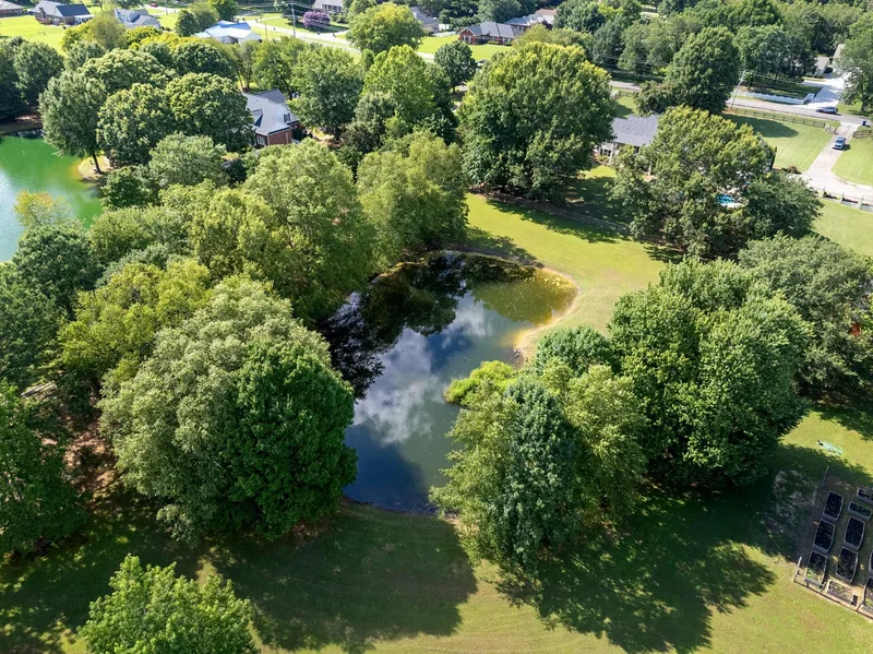 436 Mount Zion Road , Madison, AL 35757, Madison, Alabama, United States. - Photo 48
