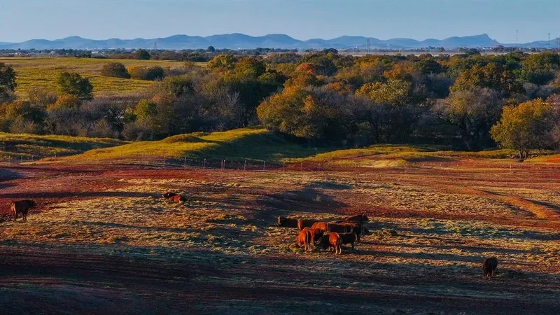 180000 N 2600 Road, Walters, OK 73572, Walters, Oklahoma, United States. - Photo 25