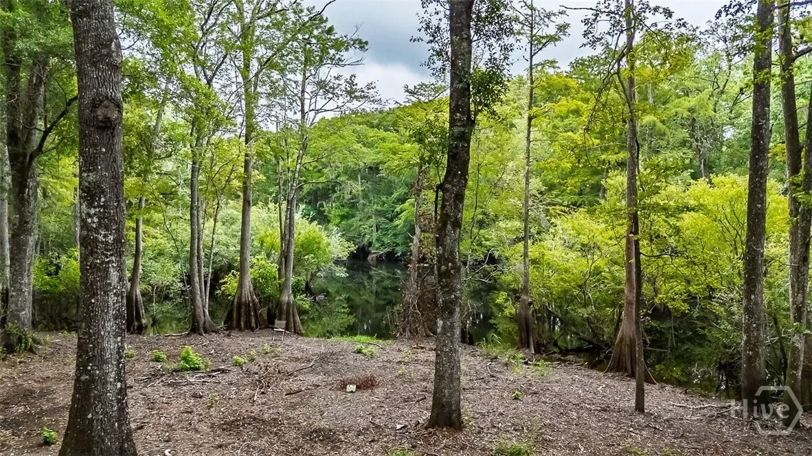 131 High Bluff Road, Rincon, Georgia, United States. - Photo 43