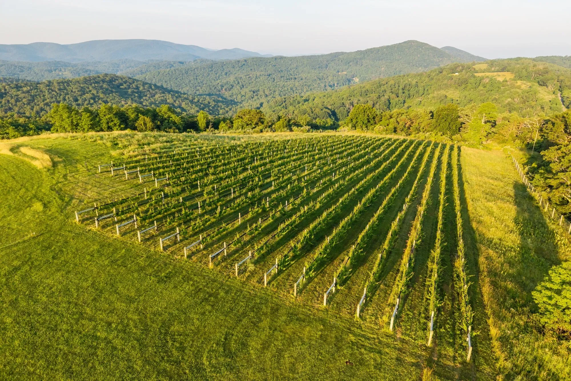 24981 Blue Ridge Parkway, Vesuvius, VA 22032, Vesuvius, Virginia, United States. - Photo 51