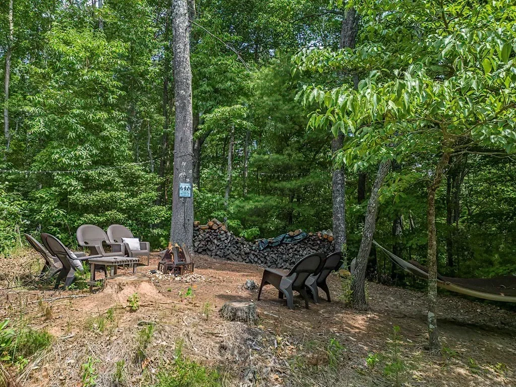 35 Leatherwood Mountain Road, Cherry Log, Georgia, United States. - Photo 41