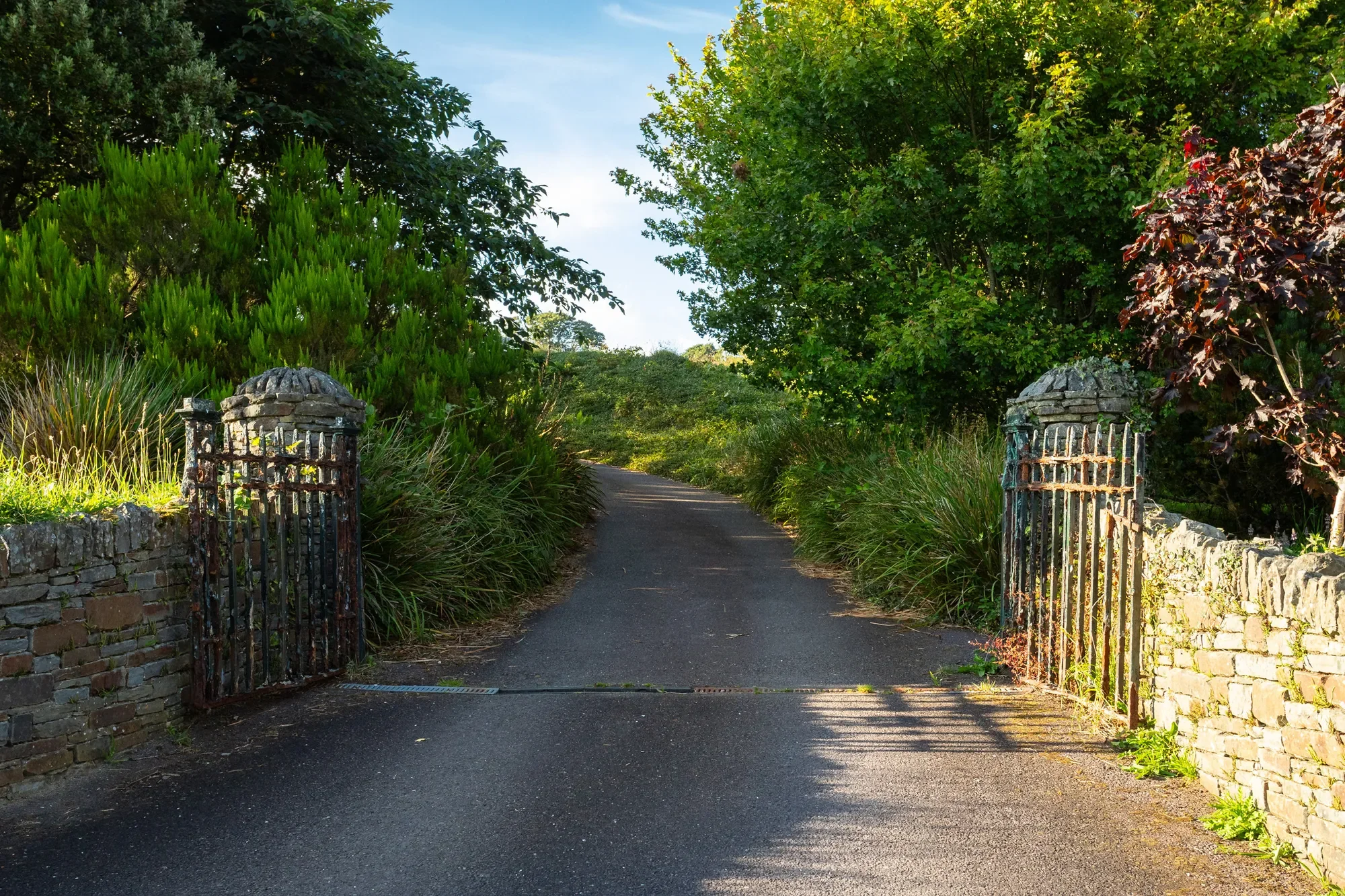 Aghatubrid More, Glandore, Co. Cork, Ireland, Glandore, County Cork, Ireland. - Photo 21