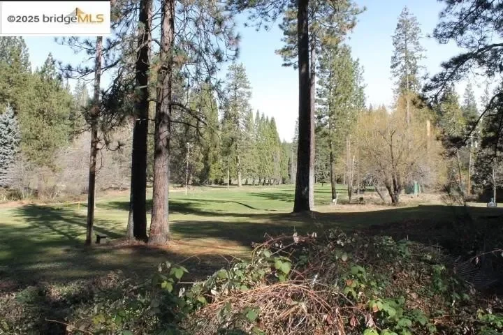 18861 Lookout Dr, Twain Harte, CA 95383, Twain Harte, California, United States. - Photo 33