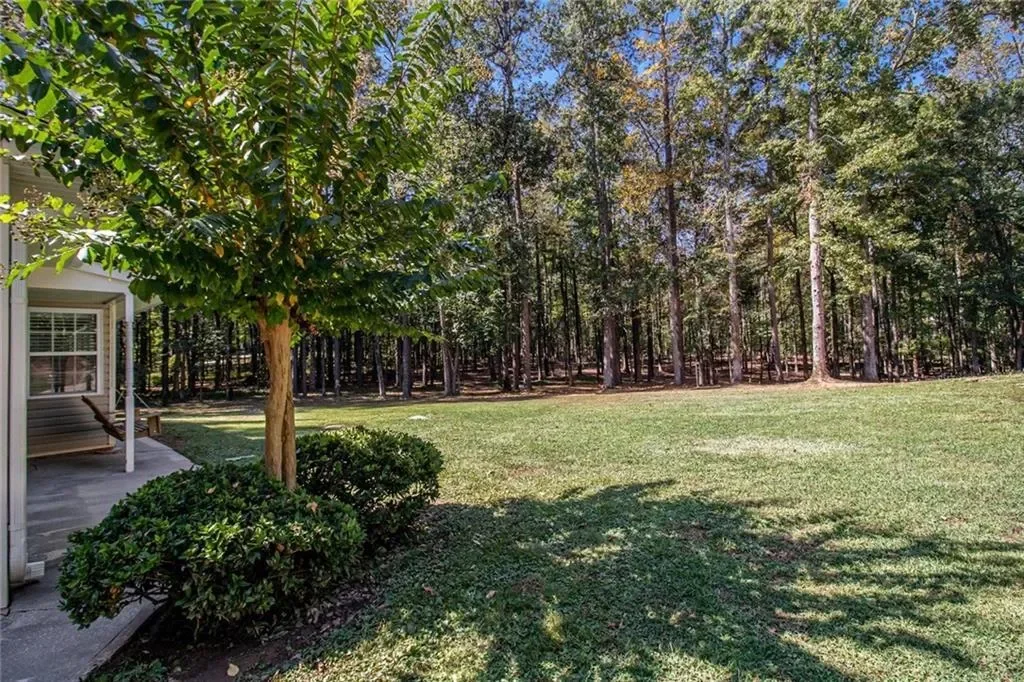 160 Old Field Road, Sharpsburg, Georgia, United States. - Photo 10