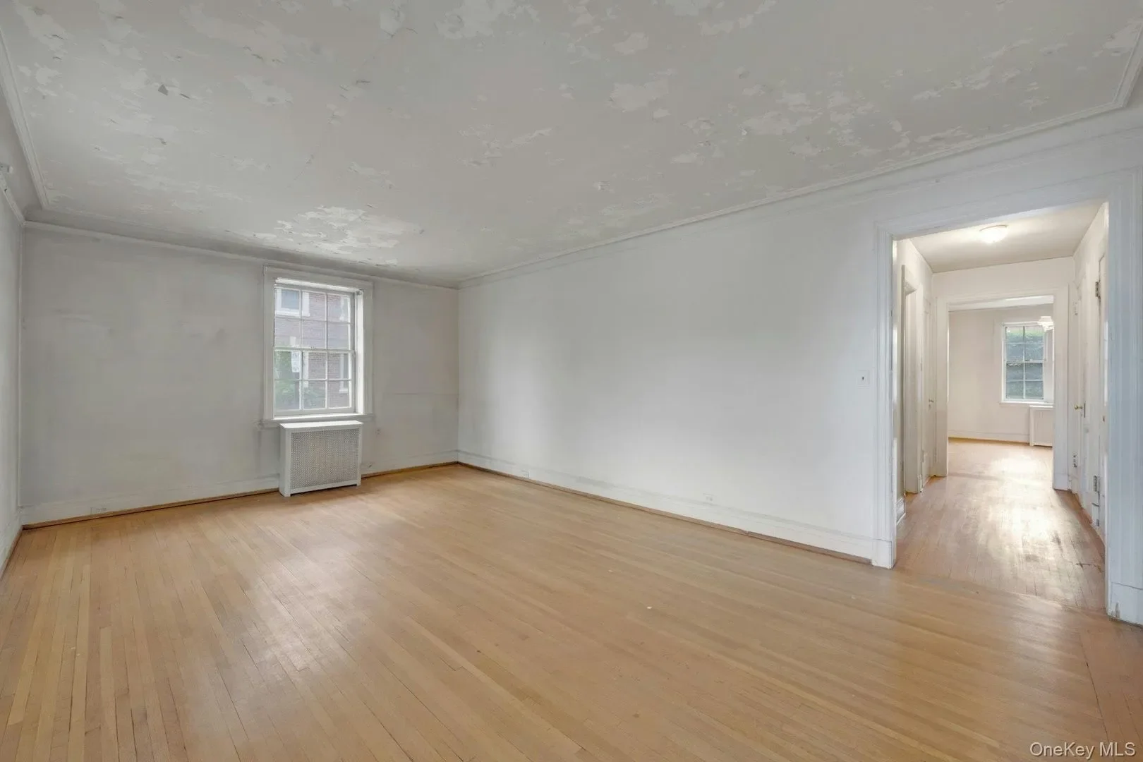 Gallery photo 11