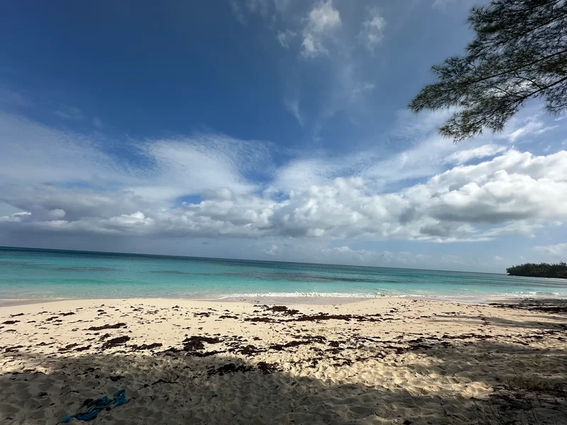Lot 7 Poponi Beach Banks Road, Palmetto Point, North Palmetto Point, Central Eleuthera, The Bahamas. - Photo 8