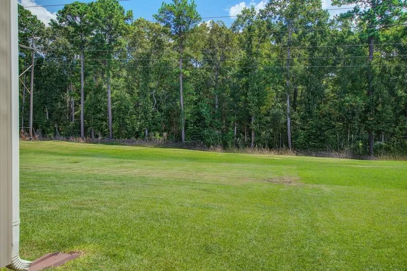 1969 Wild Indigo Way, Hanahan, SC 29410, Hanahan, South Carolina, United States. - Photo 38