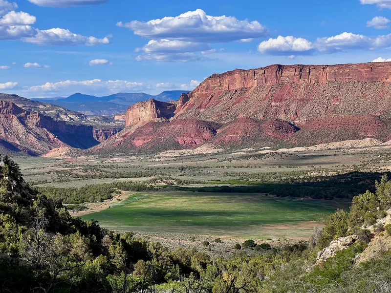 Sinbad Ranch , Gateway, CO 81522, Gateway, Colorado, United States. - Photo 4