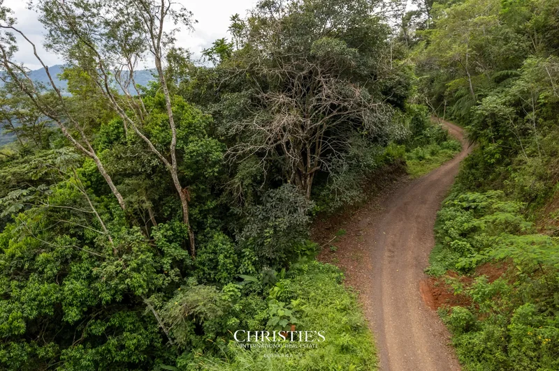 Puriscal, 239, San José Province, Costa Rica. - Photo 6