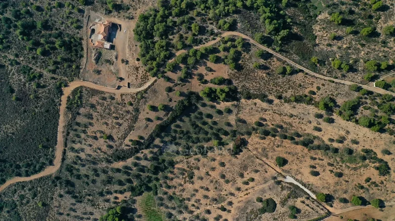 Koinotita Kranidiou, Kranidi, Greece. - Photo 22