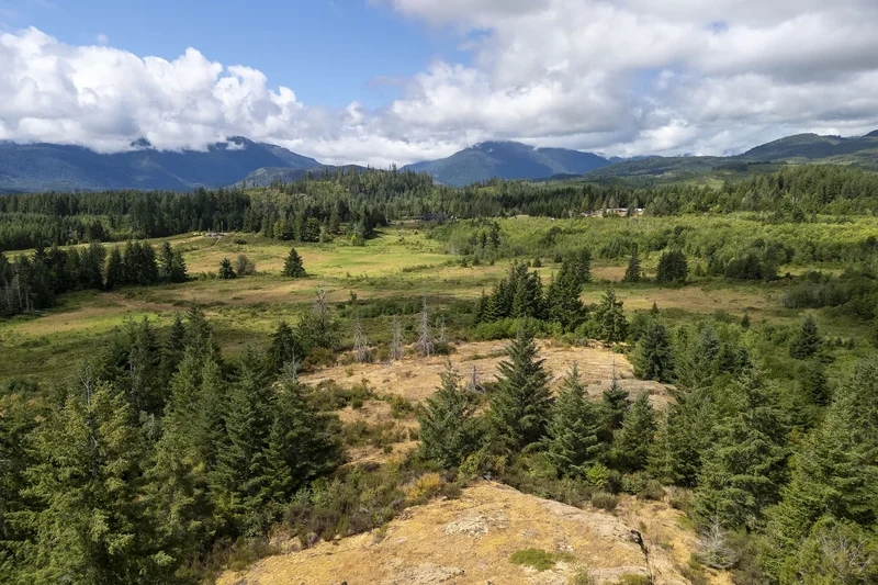 8855 Central Lake Road, Port Alberni, BC V9Y 8Z1, Port Alberni, British Columbia, Canada. - Photo 3