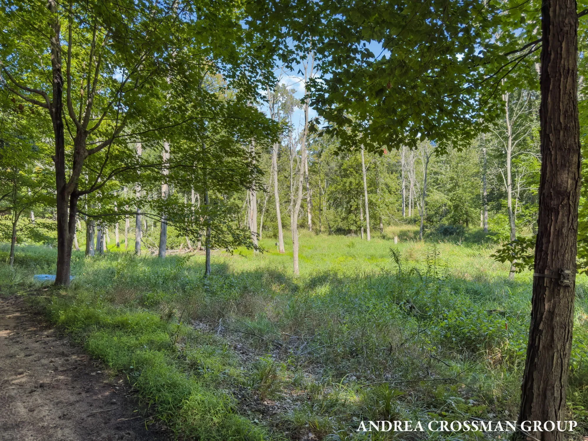 0 Lost Valley Road, Montague, MI 49437, Montague, Michigan, United States. - Photo 23