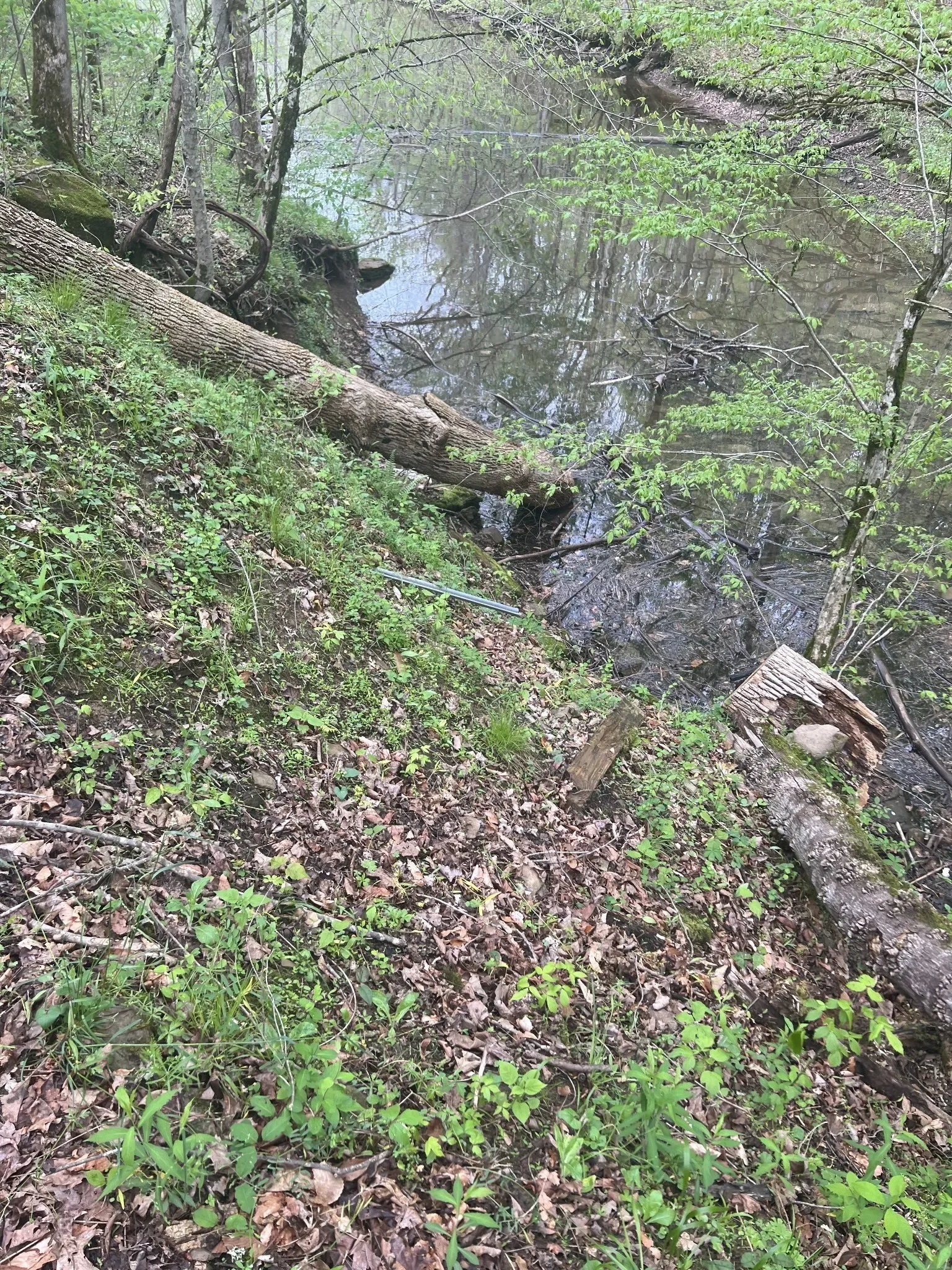 0 Huff Hollow Rd , Granville, TN 38564, Granville, Tennessee, United States. - Photo 20