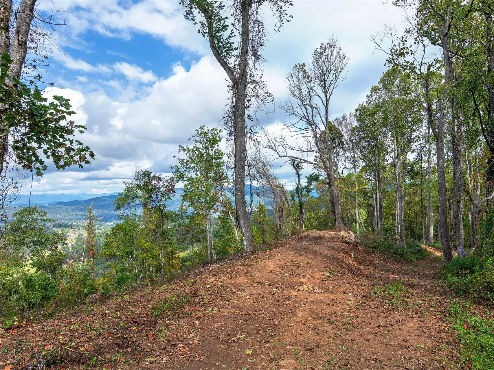 566 Elk Mountain Scenic, Asheville, NC, 28804, USA, Weaverville, North Carolina, United States. - Photo 4