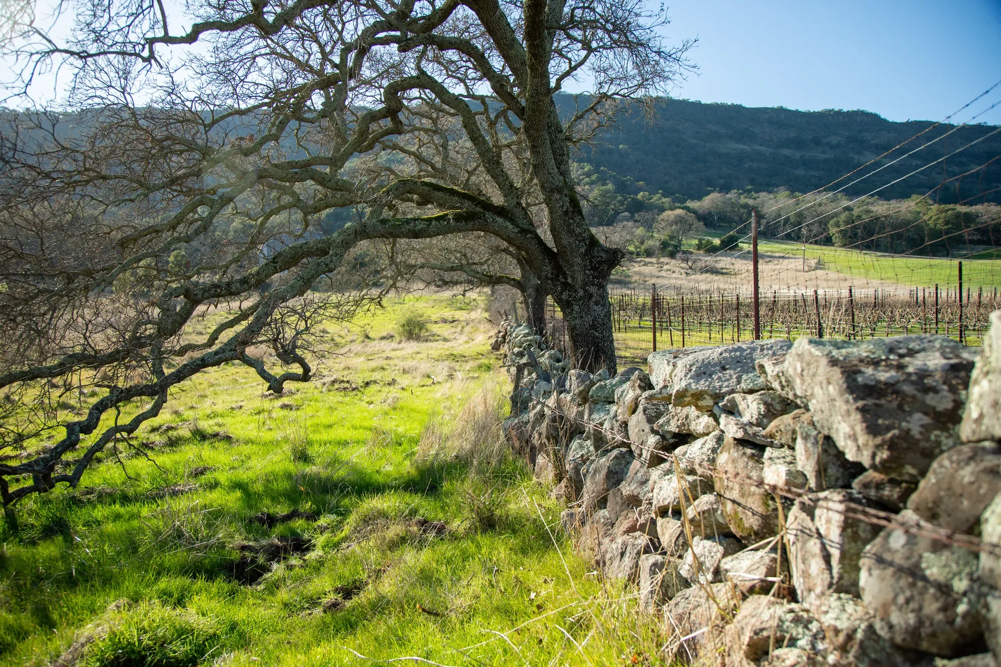 3576 Monticello Road , Napa, CA 94558, Napa, California, United States. - Photo 21