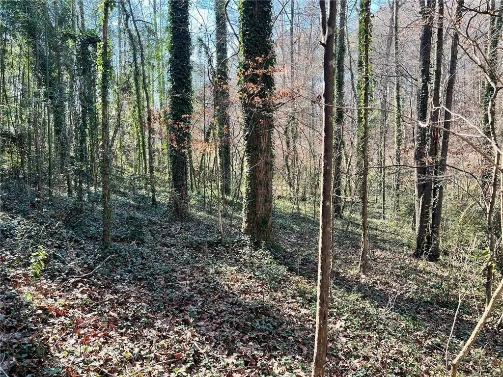 Gallery photo 11