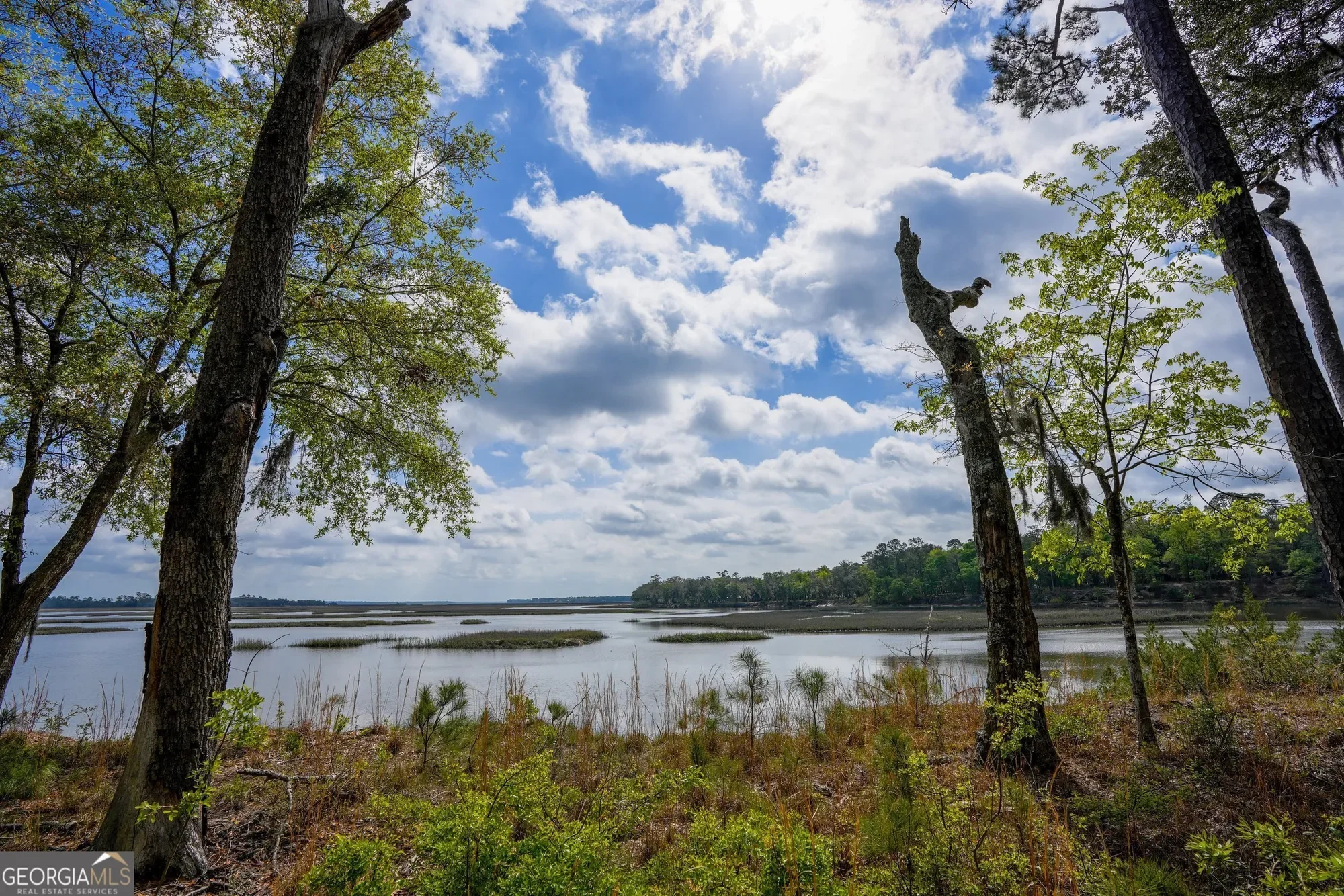 0 Simons Bluff Road, Woodbine, GA 31569, Woodbine, Georgia, United States. - Photo 8