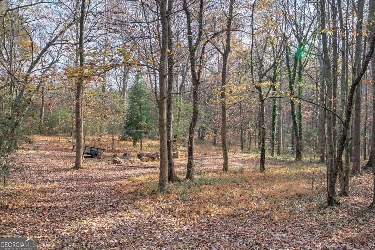 Douglasville, Georgia, United States. - Photo 44