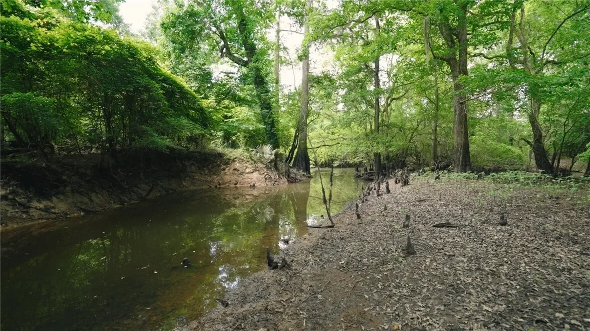 0 East River Road, Other, GA 31544, Jacksonville, Georgia, United States. - Photo 11