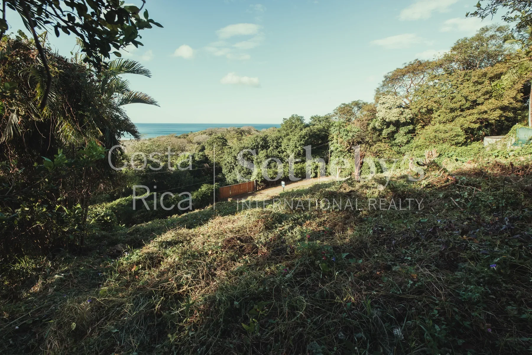 Gallery photo 9