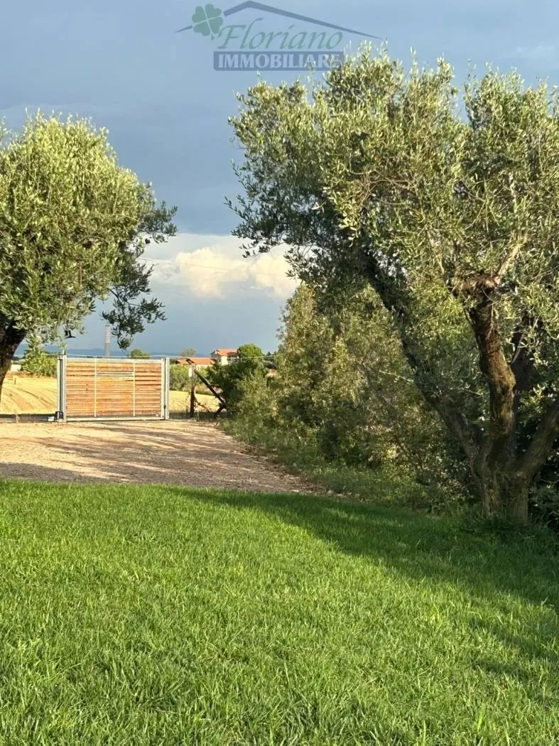 Strada Tavolaro, Montalto di Castro, Lazio, Italy. - Photo 14