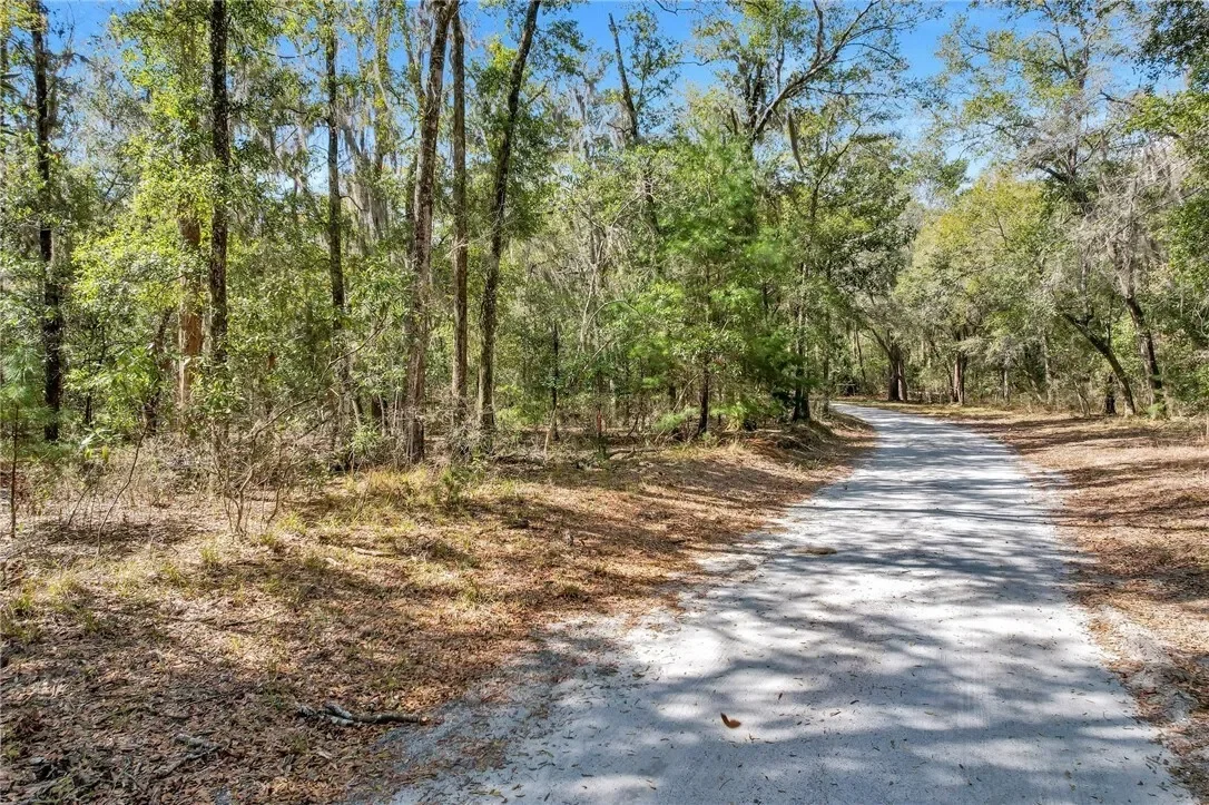 0 Drizzle Bluff Road, Woodbine, GA 31569, Woodbine, Georgia, United States. - Photo 5